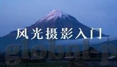 足球比分情况-足球比分情况，绿茵场上的数字交响曲